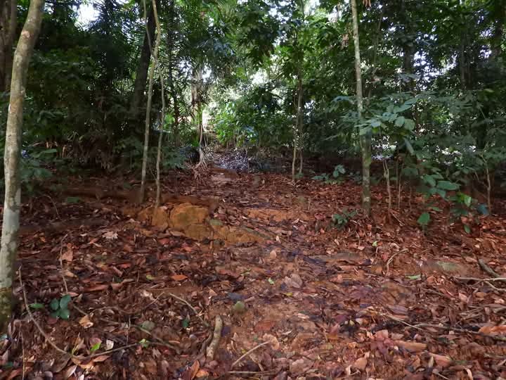 Belungkor Hill Hiking